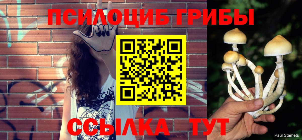 Галлюциногенные грибы Cubensis Дивногорск