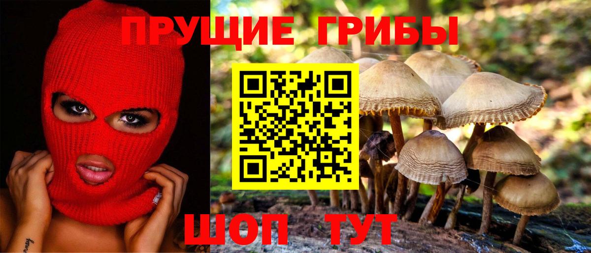 где можно купить наркотик  Галлюциногенные грибы мухоморы  Вход с VPN  Дивногорск 
